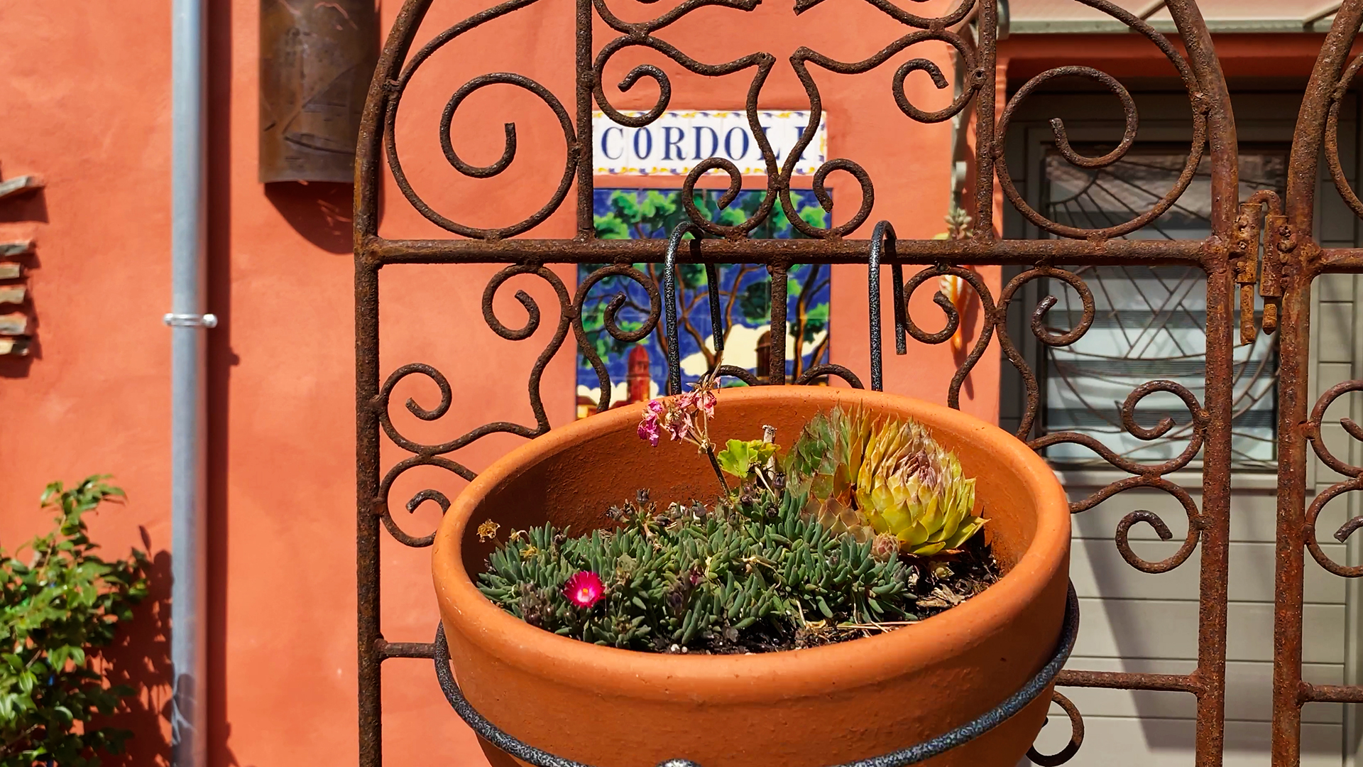 Location maison de luxe Collioure dans les Pyrénées Orientales - fleurs